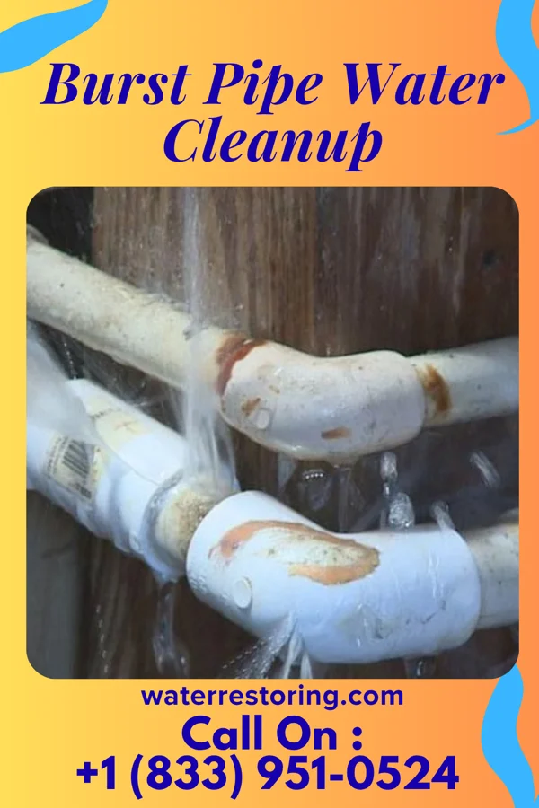 Burst Pipe Water Cleanup in Clayton, OH
