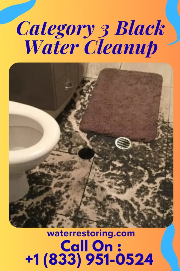 Category 3 Black Water Cleanup in Clayton, OH