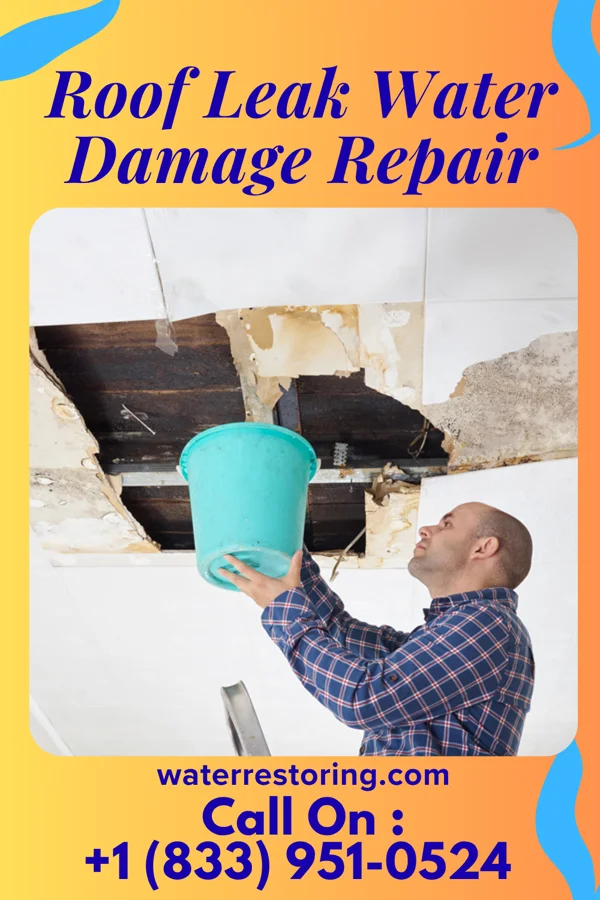 Roof Leak Water Damage Repair in Clayton, OH